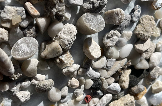 Which piece of Earth’s story would you love to carry with you?