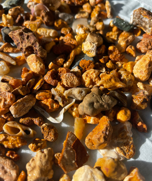 Golden treasures, hidden in the sand